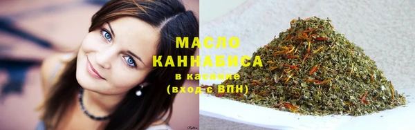 гидра Горняк