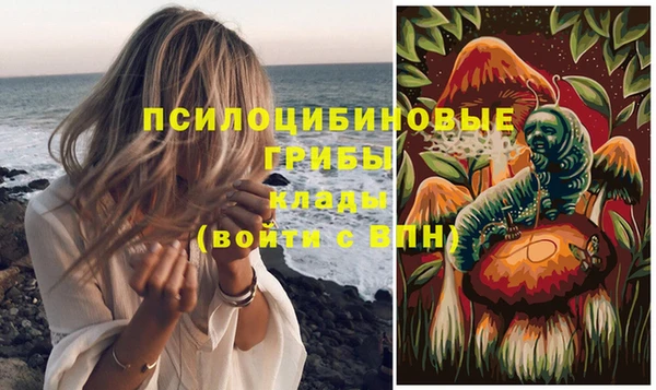 гидропоника Покровск