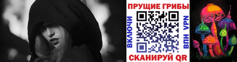 мега зеркало  Красноуральск  Псилоцибиновые грибы Psilocybe 